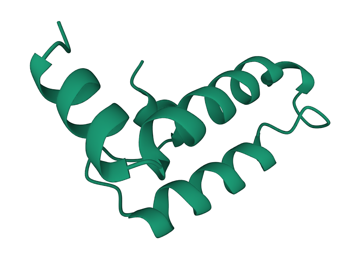 DNJA1 visualized by Protein Viewer.